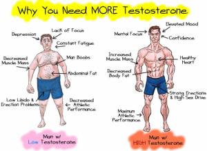 testosterone-1